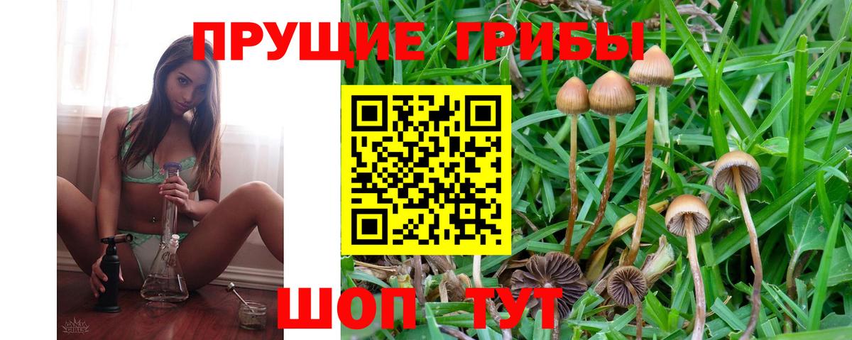 Псилоцибиновые грибы MAGIC MUSHROOMS Луга