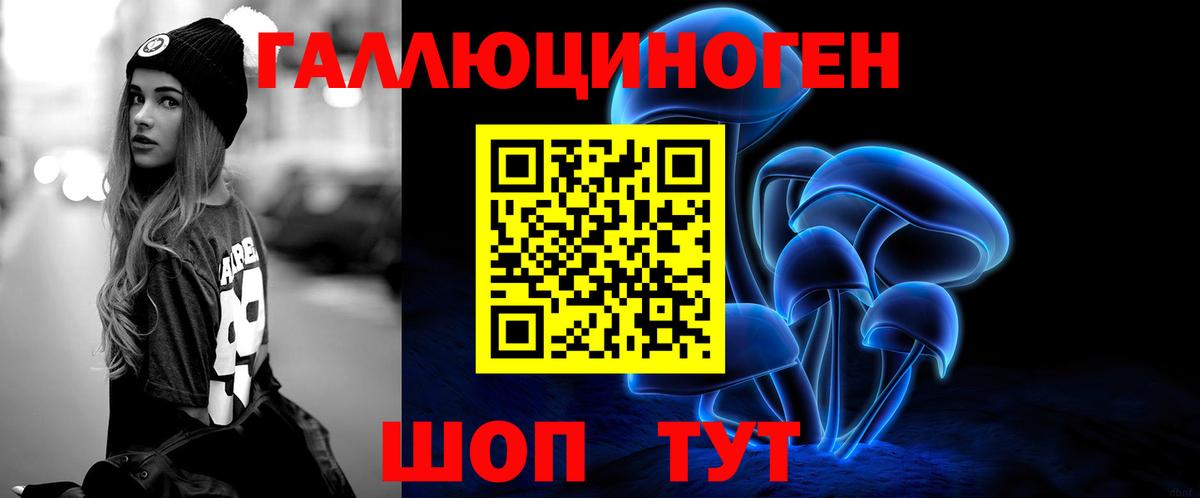 Псилоцибиновые грибы Cubensis  Псилоцибиновые грибы Cubensis  Луга  где можно купить   Вход с VPN 